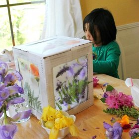 A 3D Nature Suncatcher from a Cardboard Box