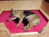 Basic Wood Whelping Box basic whelping box