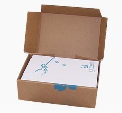 corrugated printed mailer