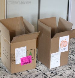 DIY Cardboard Play Mailbox | littleredwindow.com