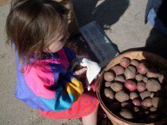 Even children can help with this, and more hands make the work lighter. Even children can help with this, and more hands make the work lighter.