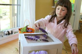 Nature Suncatchers on a Cardboard Box