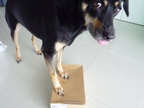 OK i can do this says Donna on the cardboard box
