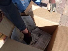 Prepare boxes by spreading a few sheets of newspaper in the bottom. Prepare boxes by spreading a few sheets of newspaper in the bottom.