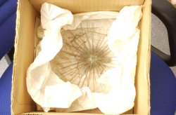 Raphidiophrys_elegans_1889_6_11_1-18k_Conservation 006_blog.jpg