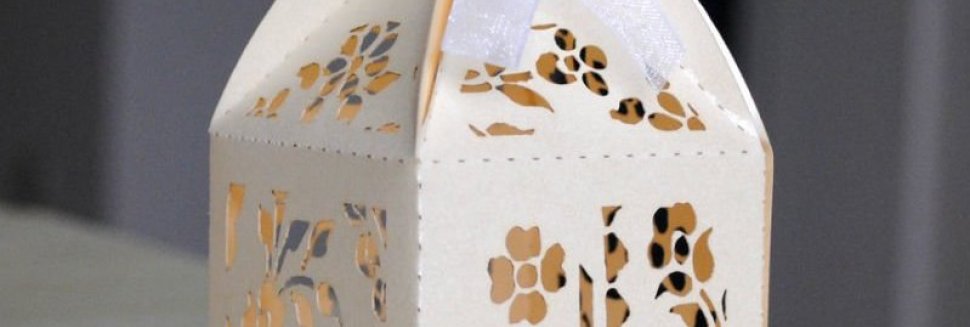 Individual cardboard boxes