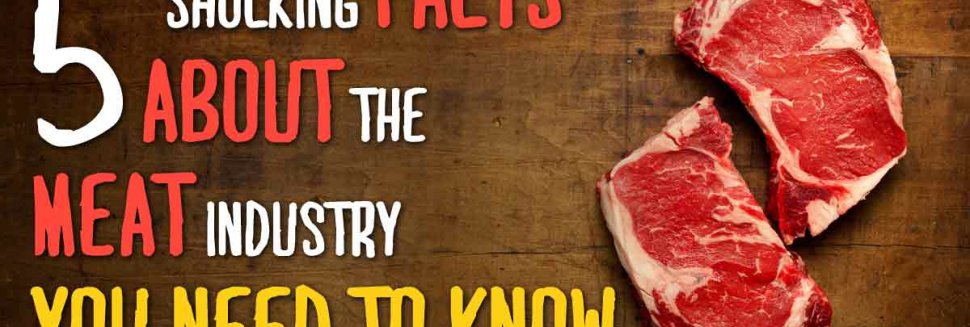 Meat packing Industrys