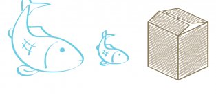 Big fish little fish cardboard box YouTube