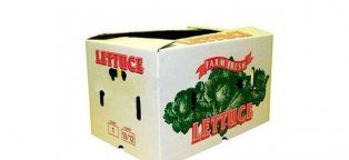Cardboard vegetable boxes