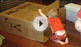 ADVENTURES IN CARDBOARD BOXES!