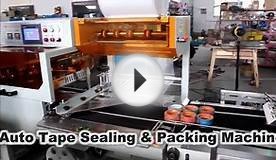 BOPP Adhesive Tape Packaging Machine (Tape Packing Machine)