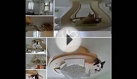 DIY cat hammock cardboard box