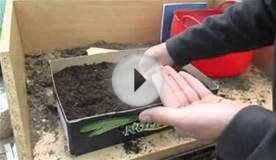 EZ How to Grow Vegetables Cheaply in Cardboard Boxes