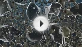 Film-Granular Packing Video.wmv