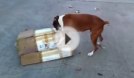 How to properly recycle cardboard boxes