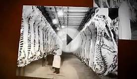 Meat Packing Industry 1900