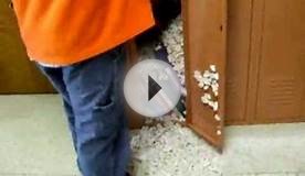 Packing Peanuts