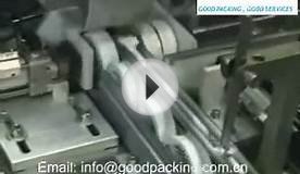 Tape Sleeve Sealing Shrink Packing Machine.wmv