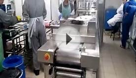 Utien-Fish Thermoforming vacuum Packaging Mchine-Rigid Film