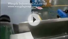 WD-FT-SPM1 Face tissue packing machine full auto